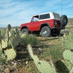 Casey Nicholas - @2horsegarage - Instagram