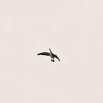 Casey Nilson - @suitcase_12 - Instagram