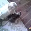 casey - @caseyconnolly0 - TikTok