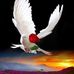 NorNor Zai KC - Facebook