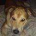 Casey Northcutt - Facebook