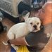 Kasey Nunn - Facebook