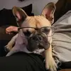 Casey Ochoa - @caseya8a - TikTok