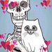 Casey O'Connell - Facebook