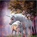 Casey O'Connell - Facebook