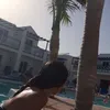 CaseyOConnor  - @caseyoconnor25 - TikTok