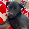 Casey Ortega - @cortega7954 - TikTok