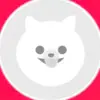 Casey Ostrowski  - @caseyostrowski - TikTok