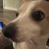 Casey Otis - @ladycaseyotis - TikTok