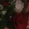 Casey Otto - @casey.otto7 - TikTok