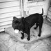 Casey Overstreet - Facebook