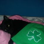 Casey Parks - @casey.parks.5494360 - Instagram