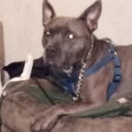 Casey Pearson - Facebook