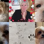 Casey Pearson - @caseymunday2010 - Instagram