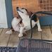 Casey Perkins - Facebook