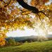 Casey Pitman - Facebook