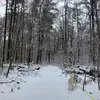 caseypitman8 - @caseypitman8 - TikTok