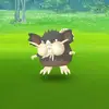 Casey Rainey662 - @rattatababy - TikTok