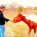 Casey Ratcliff - Facebook