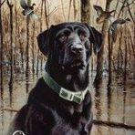 Casey Rawson - Facebook