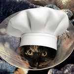 Casey & Raymond - @coralineskitchen - Instagram