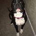 Casey Raymond - Facebook
