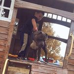 Casey Raymond - @caseyraymond28 - Instagram