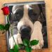 Casey Rea - Facebook