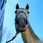 Casey Reagan - @cer.photography_ - Instagram