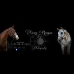 CR Photography - @caseyreaganphotography - Instagram