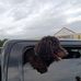 Casey Reece - Facebook