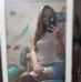 Casey Reel - Facebook