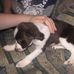 Casey Rees Ward - Facebook