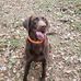 Casey Register - Facebook