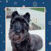 Casey Bechard-Renaud - Facebook