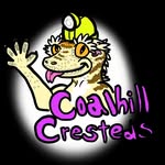 Casey Renner - @coalhill_cresteds - Instagram