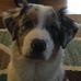 Casey Reno - Facebook