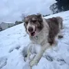 casey ressler - @casey.ressler - TikTok