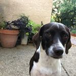Casey Reyes - @casey__reyes - Instagram
