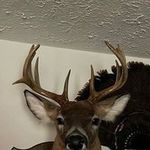 Casey Rhoades - @rhoades4420 - Instagram