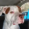 caseylynnridenour - @caseylynnridenour - TikTok