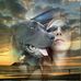 Casey Rider - Facebook