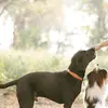 rigby.casey - @musicmaverick.58529 - TikTok