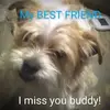 caseyrigdon885 - @caseyrigdon885 - TikTok