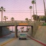 Casey Ritz - @rosenahippe609 - Instagram