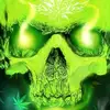 caseyroach229 - @caseyroach229 - TikTok