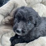 ~CaseyRoach~ - @caseyroach - Instagram