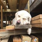 Casey Roan - @c.a.roan - Instagram
