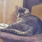 Casey Robbins - @caseyrobbins57 - Instagram