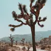 casey robinette - @casey.robinette - TikTok